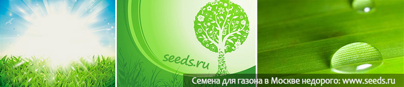 семена для газона, купить, в Москве, семенагазонной травы, травосемсь