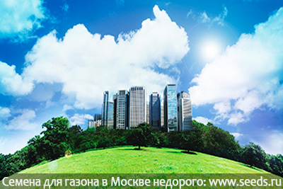 семена газонной травы для благоустройства, газонная трава для ЖКХ, благоустройство города, озеленение территорий, семена для газона купить в Москве