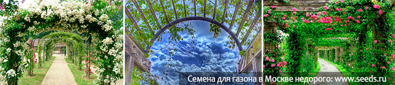 art 340 sadovye arki dlya vyushchihsya rastenij foto