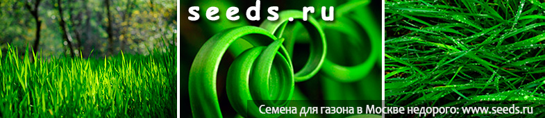 art 470 kakie semena rastut v moskve i moskovskoj oblasti
