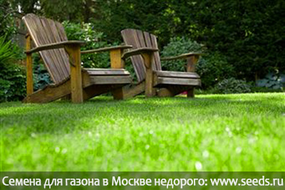газон когда сажать, газон своими руками, семена для газона, когда сеять, когда сажать газонную траву, купить семена в Москве