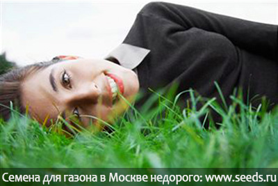 газон, который не надо стричь, не надо косить, газонная трава для ленивых, семена газонных трав купить в Москве.